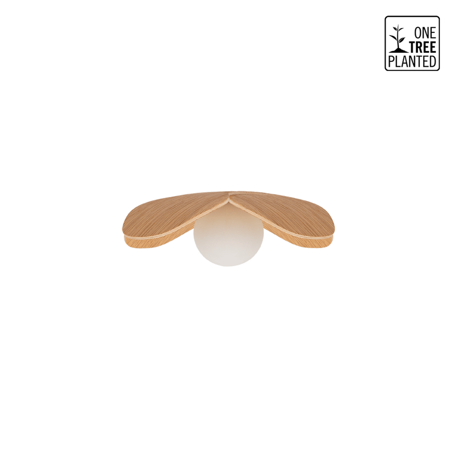 Microsoftteams Image 14 89B1b780 818A 4367 8275 E8adc7861900.png