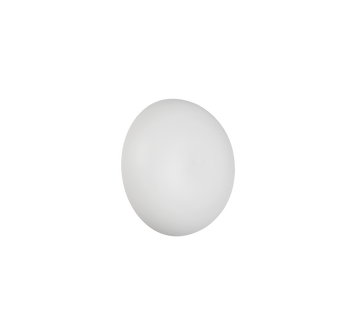 DAVEY | Wall lamp | White mat | Metal