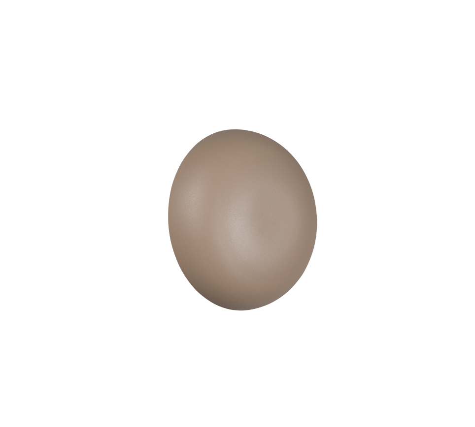 DAVEY | Wall lamp | Warm beige | Metal