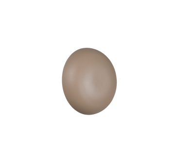 DAVEY | Wall lamp | Warm beige | Metal