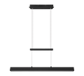 PAROS | Pendant | Black mat | Metal