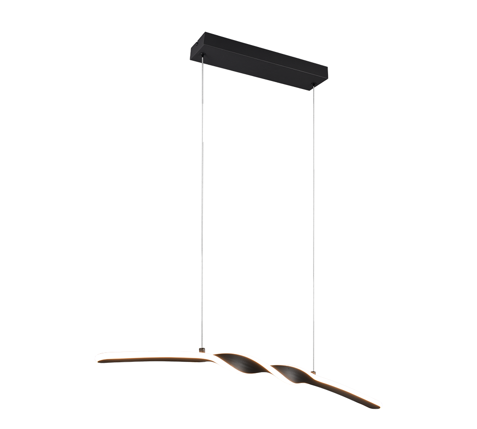 GINKO | Pendant | Black mat | Metal