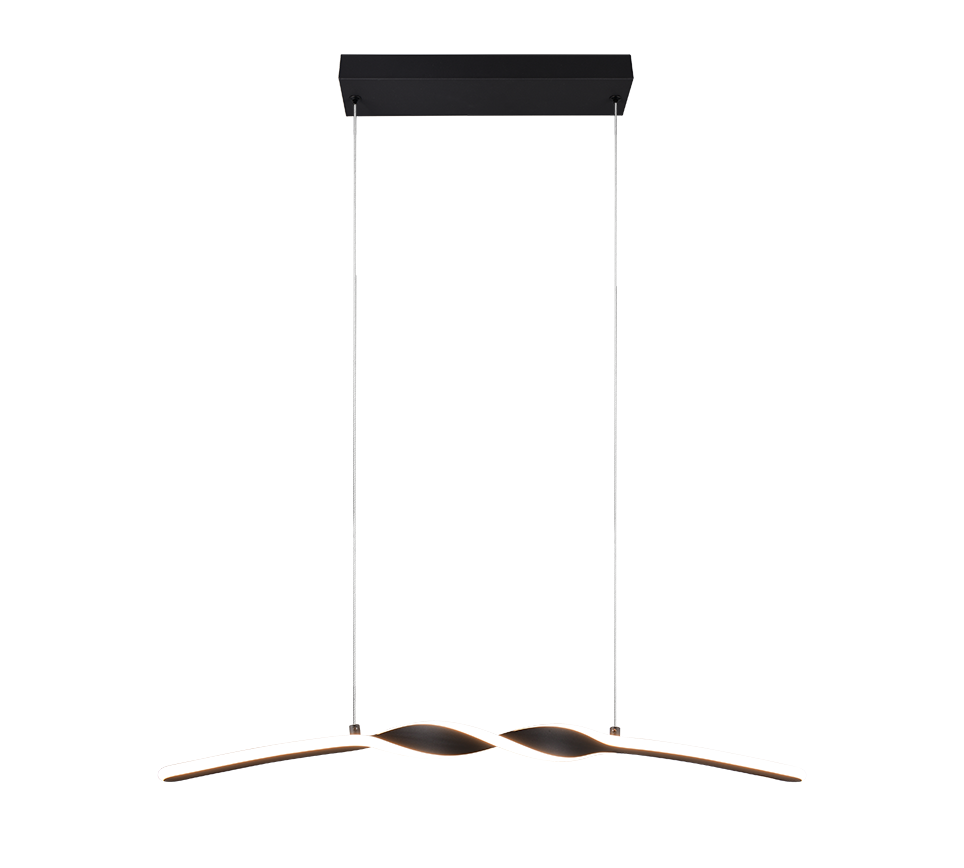 GINKO | Pendant | Black mat | Metal