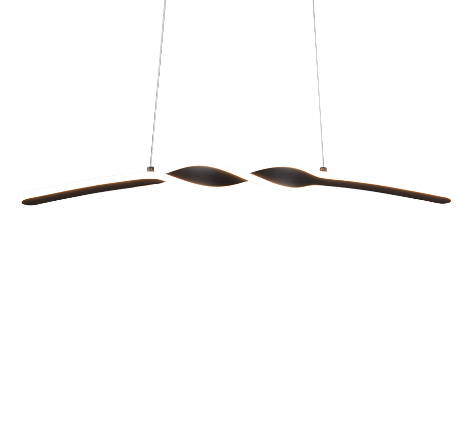 GINKO | Pendant | Black mat | Metal