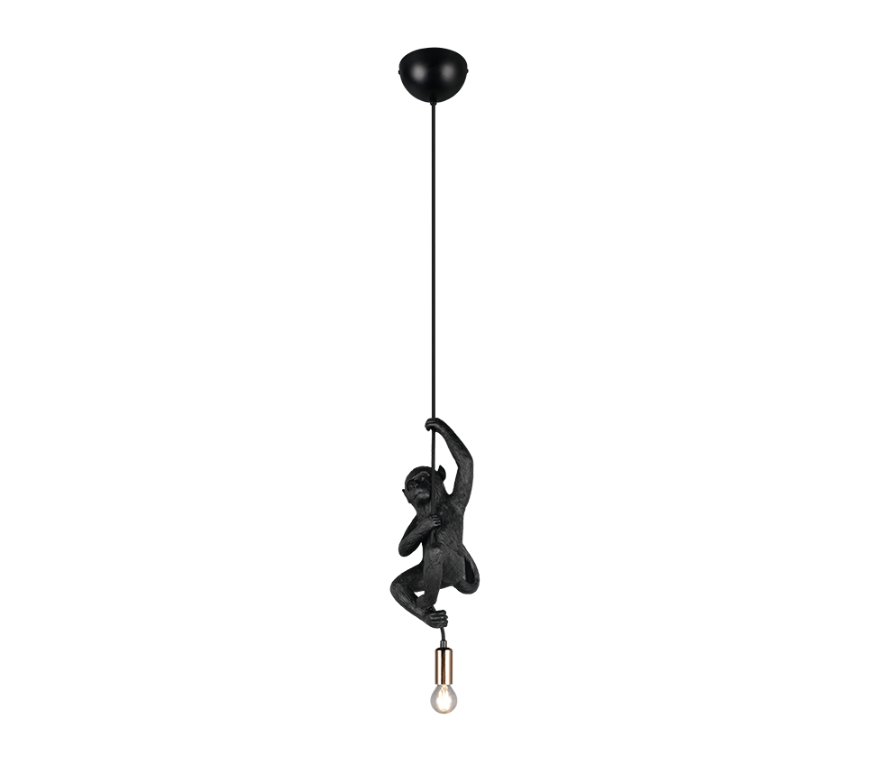 FIPS | Pendant | Black | Polyresin