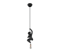 FIPS | Pendant | Black | Polyresin