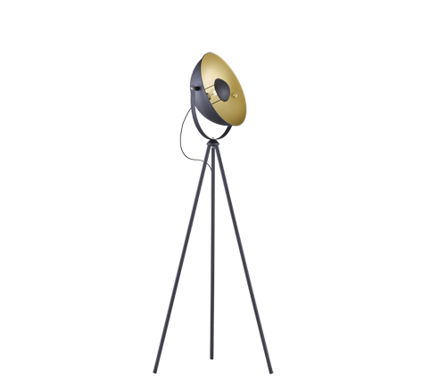 CHEWY | Floor lamp | Schwarz-Gold | Metal