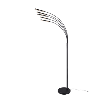 REED | Floor lamp | Black mat | Metal