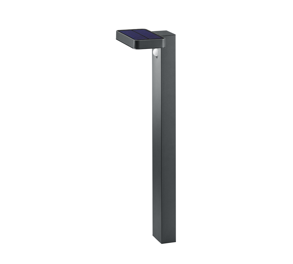 ESQUEL | Pole | Anthracite | Stainless steel