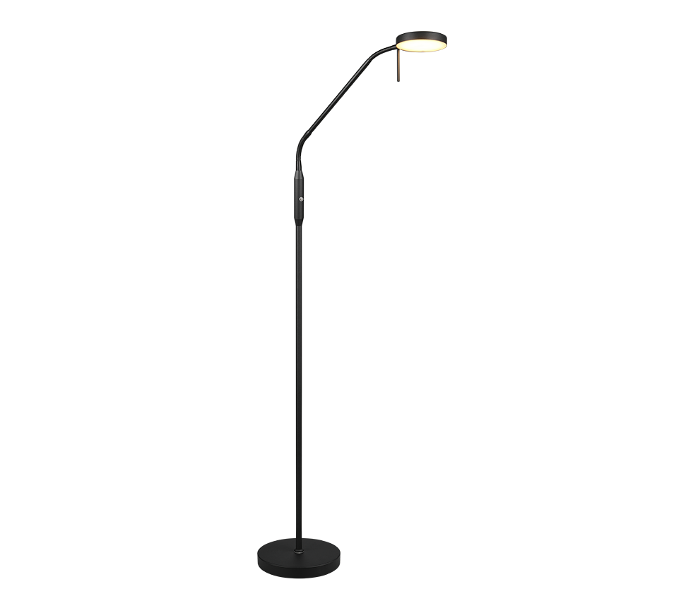 MORENO | Floor lamp | Black mat | Metal