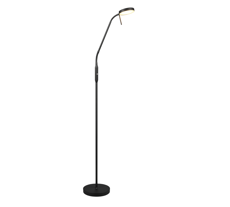 MORENO | Floor lamp | Black mat | Metal