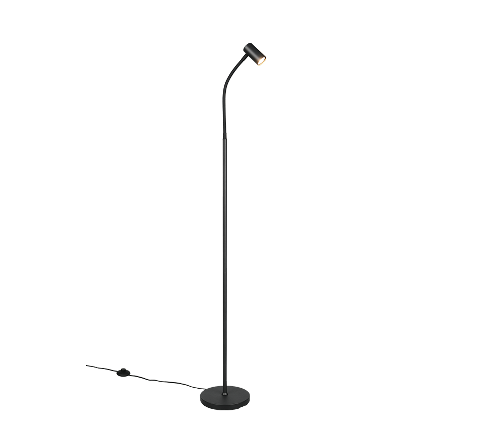 TARYN | Floor lamp | Black mat | Metal