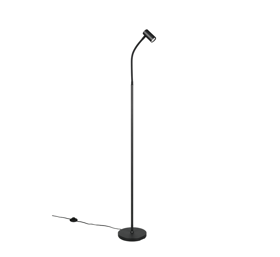 TARYN | Floor lamp | Black mat | Metal
