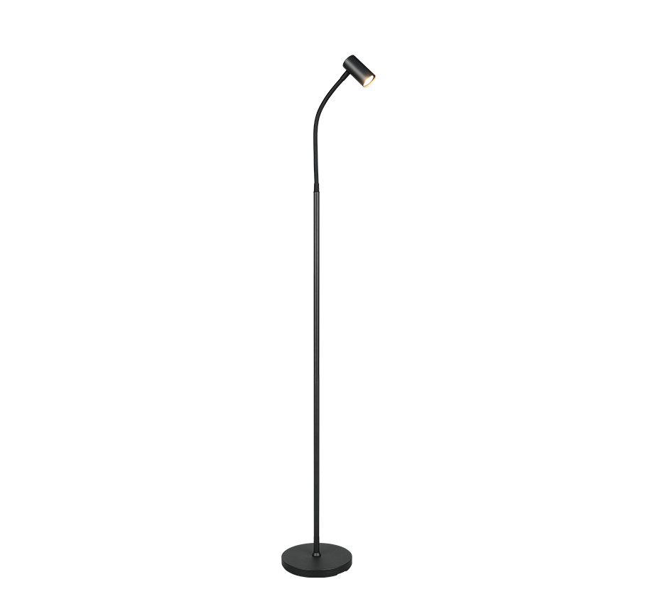 TARYN | Floor lamp | Black mat | Metal