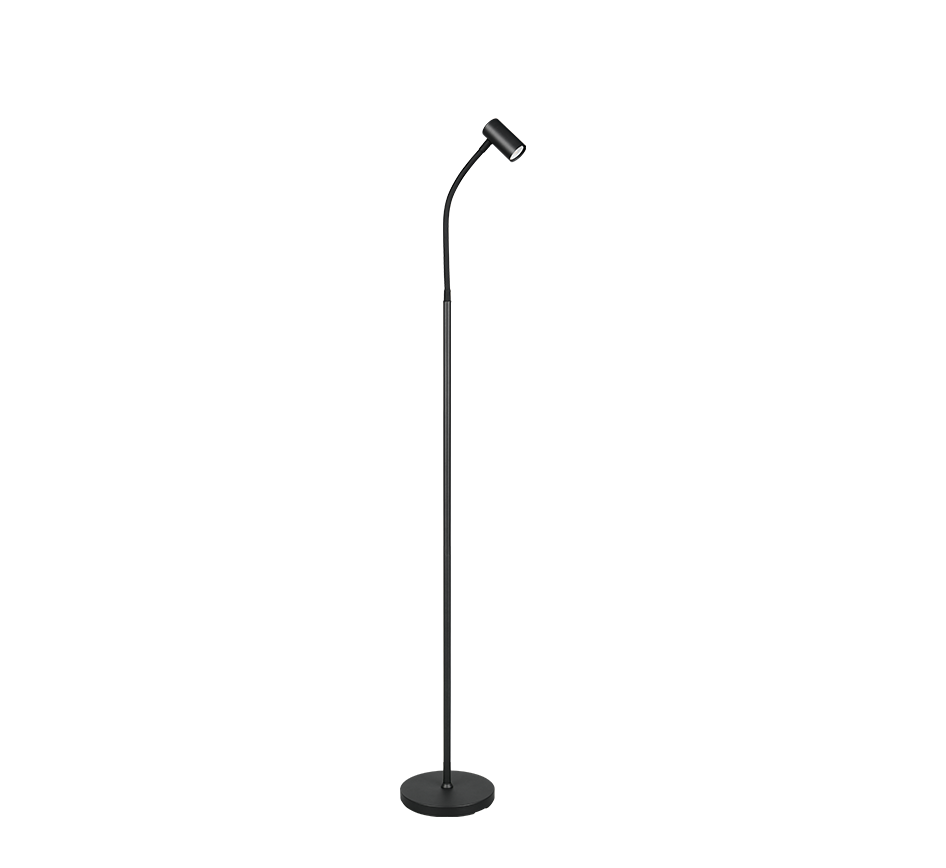 TARYN | Floor lamp | Black mat | Metal