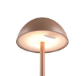RICARDO | Table lamp | Coffee | Plastic
