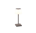SANCHEZ | Table lamp | Anthracite | Plastic