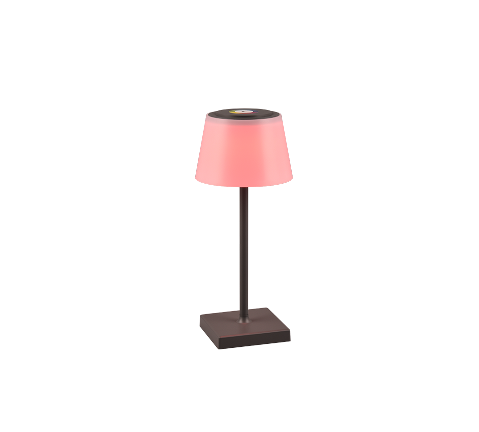 SANCHEZ | Table lamp | Anthracite | Plastic
