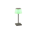 SANCHEZ | Table lamp | Anthracite | Plastic