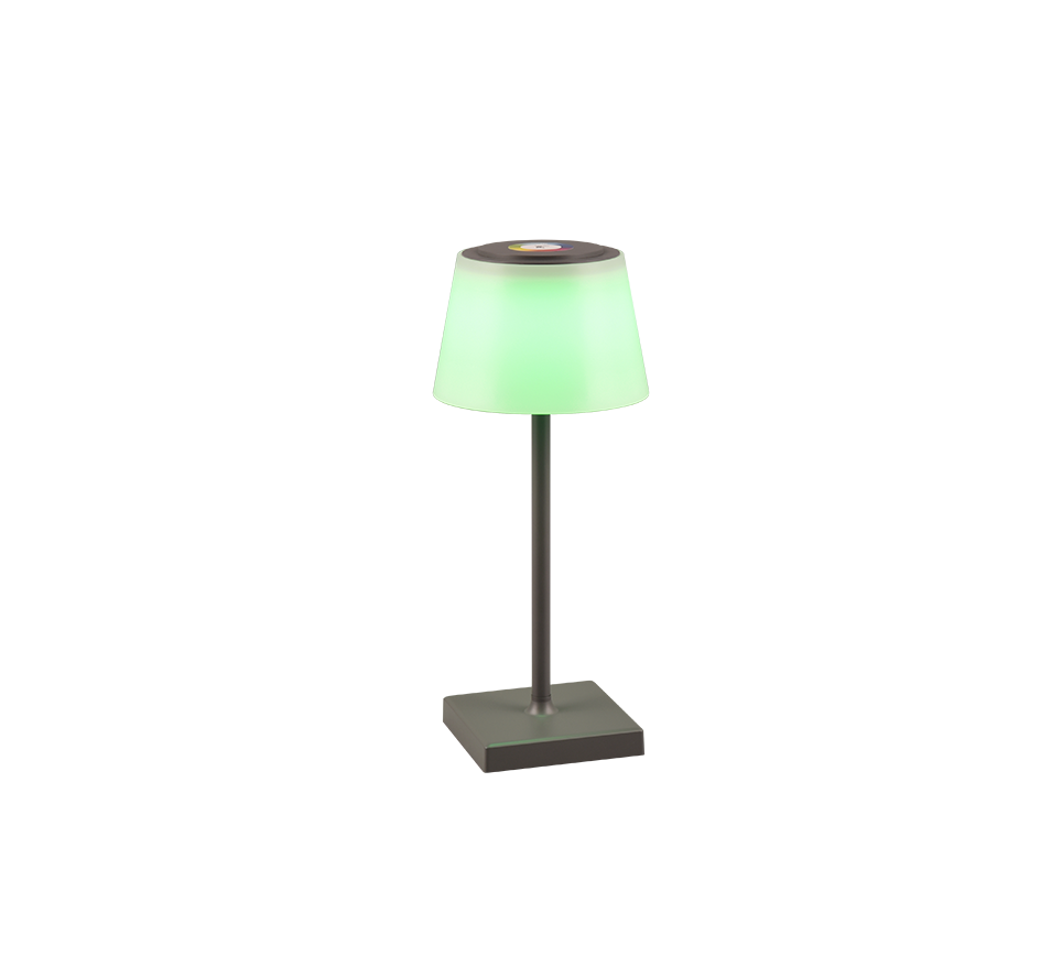 SANCHEZ | Table lamp | Anthracite | Plastic