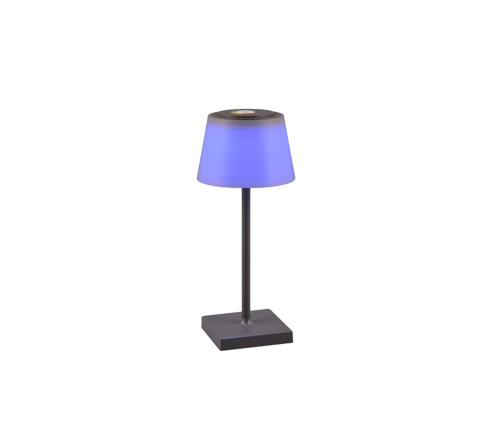 SANCHEZ | Table lamp | Anthracite | Plastic