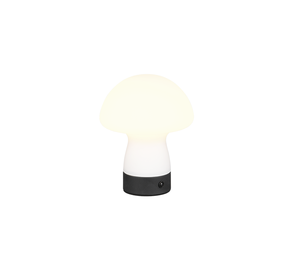 DOOLEY | Table lamp | White mat | Glass