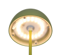 ORTIZ | Table lamp | Green | Plastic
