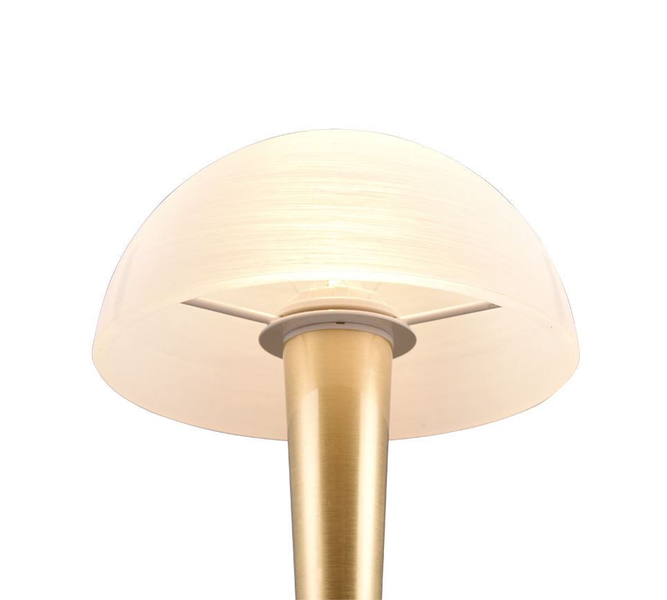CANARIA | Table lamp | Brass mat | Metal