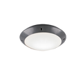 CAMARO | Ceiling lamp | Anthracite | Plastic
