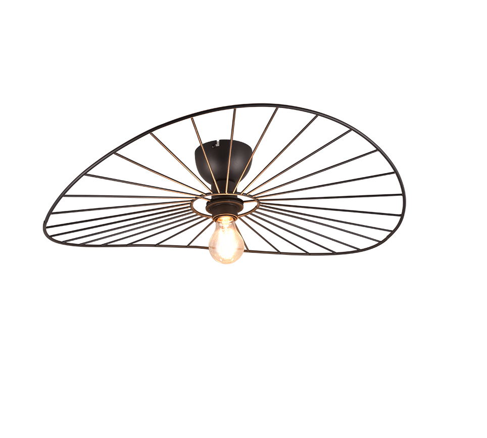 CHAPEAU | Ceiling lamp | Black mat | Metal