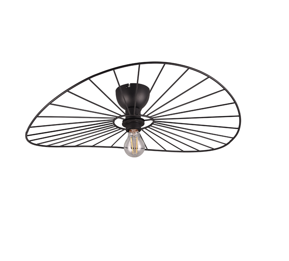 CHAPEAU | Ceiling lamp | Black mat | Metal
