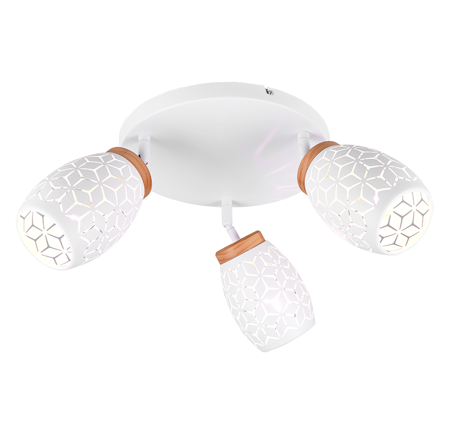 BIDAR | Ceiling lamp | White mat | Metal