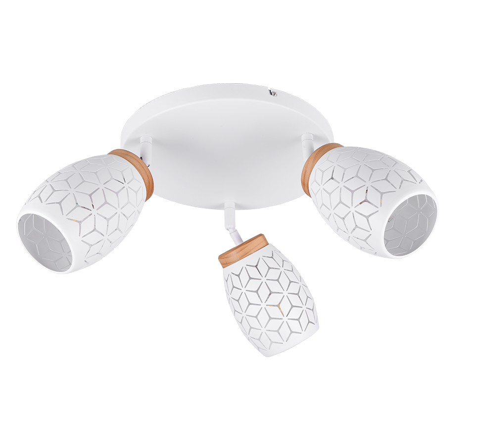 BIDAR | Ceiling lamp | White mat | Metal