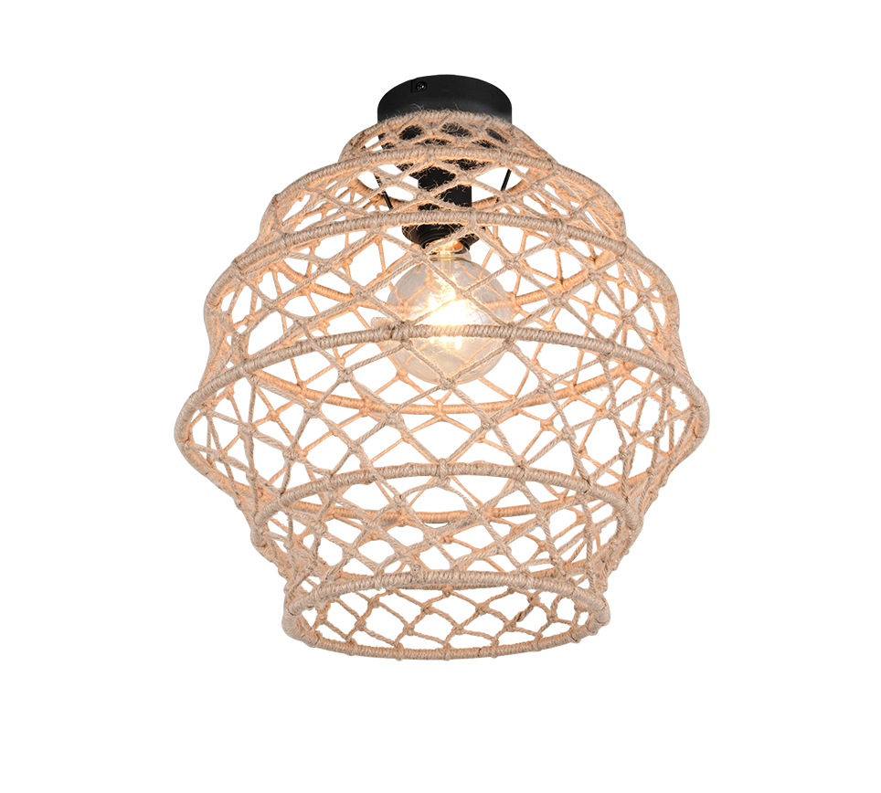 HIVE | Ceiling lamp | Black mat | Metal