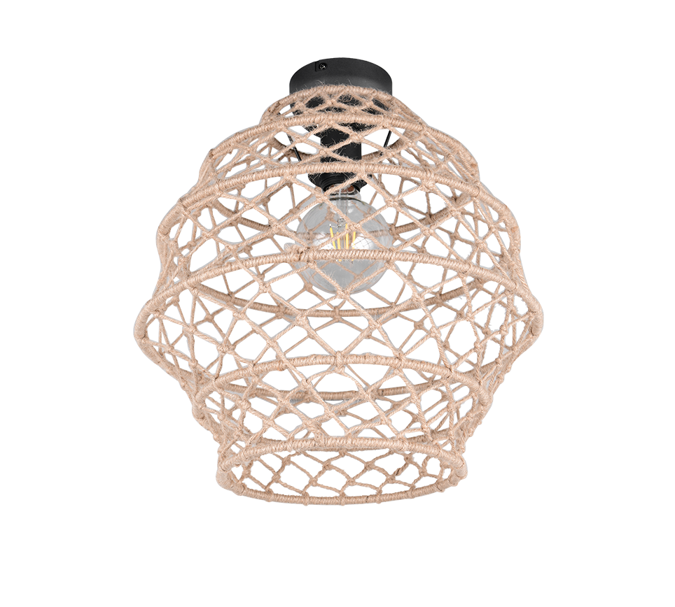 HIVE | Ceiling lamp | Black mat | Metal