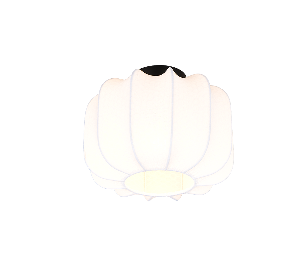MADELINE | Ceiling lamp | Black mat | Metal