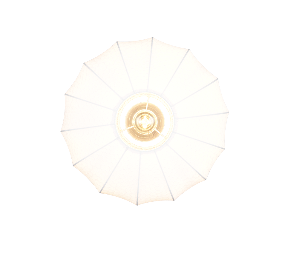 MADELINE | Ceiling lamp | Black mat | Metal