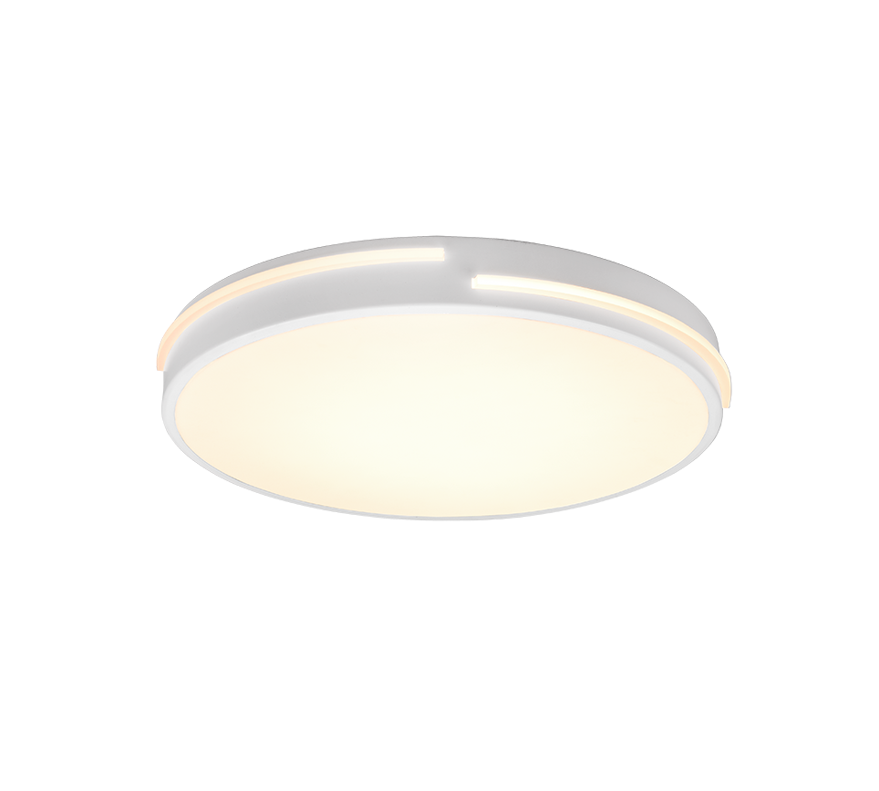 TACOMA | Ceiling lamp | White mat | Metal