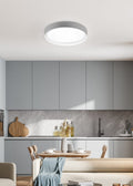 ZETA | Ceiling lamp | Grey | Plastic
