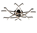 POLLOCK | Ceiling lamp | Black mat | Plastic