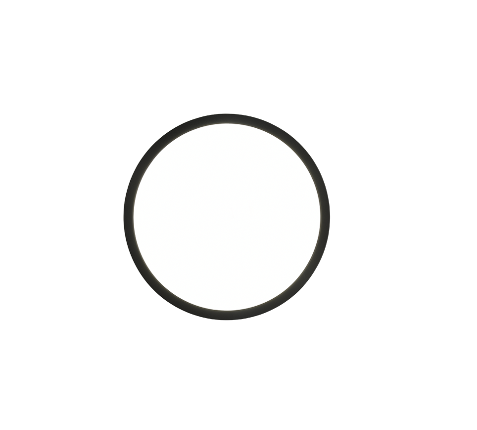 AUREO | Ceiling lamp | Black mat | Plastic