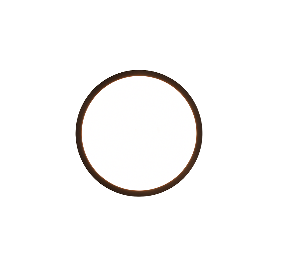 AUREO | Ceiling lamp | Black mat | Plastic