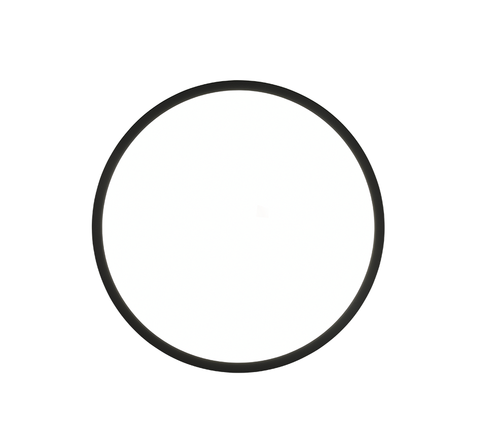 AUREO | Ceiling lamp | Black mat | Plastic