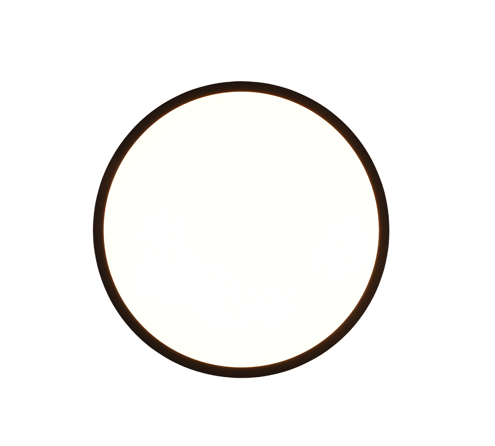AUREO | Ceiling lamp | Black mat | Plastic