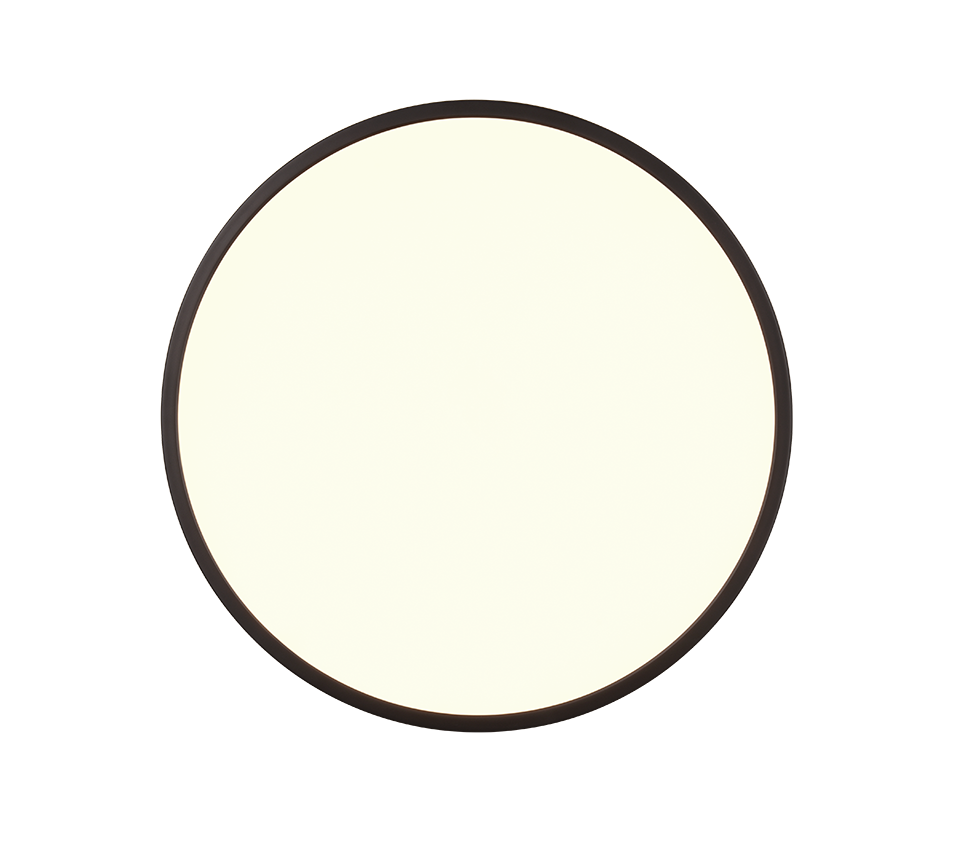 SCOTT | Ceiling lamp | Black mat | Plastic