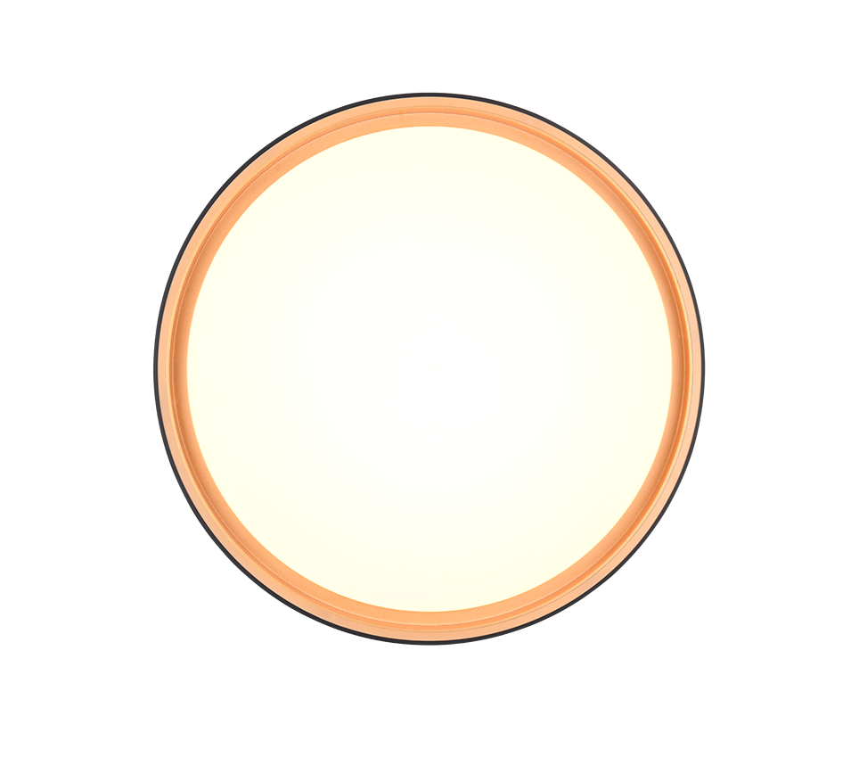 FELIS | Ceiling lamp | Schwarz-Gold | Plastic