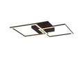 TRAIL | Ceiling lamp | Black mat | Metal