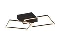 TRAIL | Ceiling lamp | Black mat | Metal