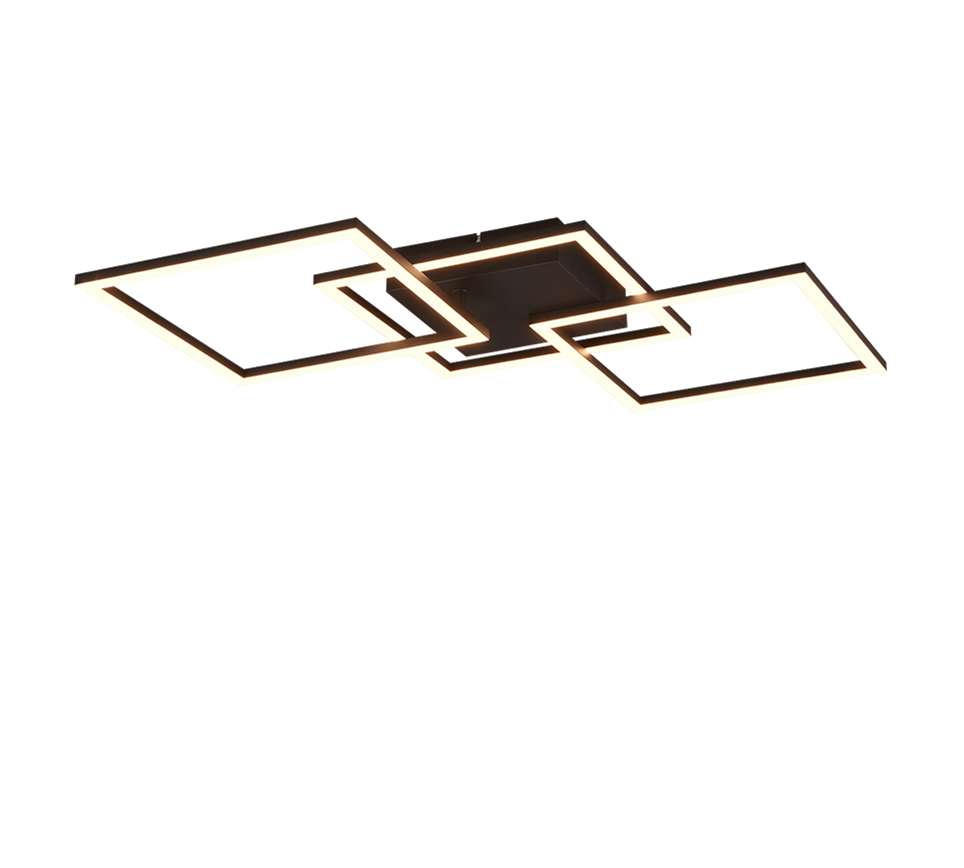 TRAIL | Ceiling lamp | Black mat | Metal