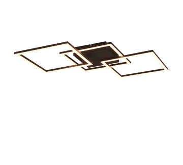 TRAIL | Ceiling lamp | Black mat | Metal